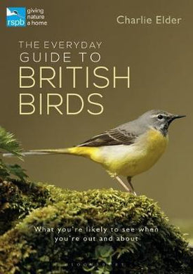 Everyday Guide To British Birds - BookMarket
