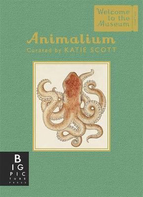 Animalium Mini Gift Ed. - BookMarket