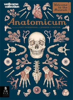 Anatomicum (Big Format) - BookMarket