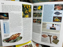 Load image into Gallery viewer, Encyclopaedia of Malaysia Vol 6 : The Seas