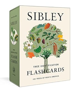 Sibley Tree Identification Flashcards: 100 Trees of North America Cards (ONLY SET)
