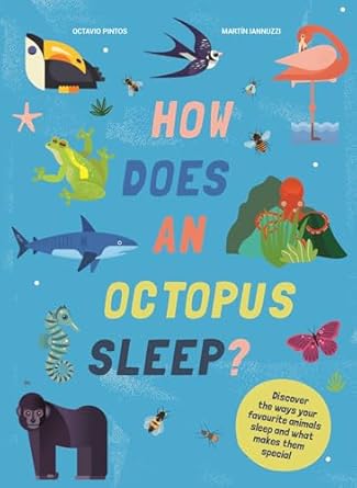 How Does An Octopus Sleep'