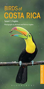 Birds Of Costa Rica