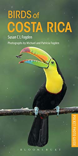 Birds Of Costa Rica
