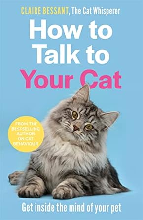 How To Talk To Your Cat