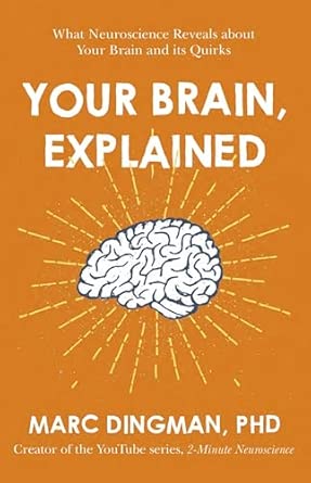 Your Brain Explained