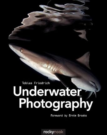 Underwater Photography   (Only Copy)