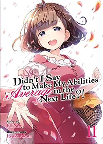 Didn'T I Say To Make Abilities Average Vol 11 Light Novel