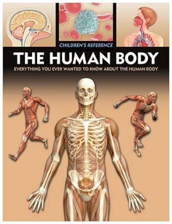 Human Body