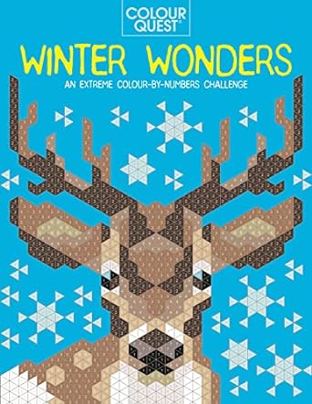Colour Quest: Winter Wonders