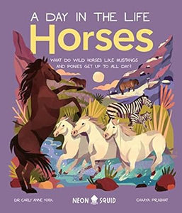 A Day In Life Horses