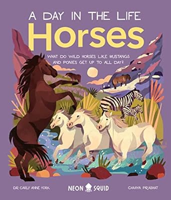 A Day In Life Horses