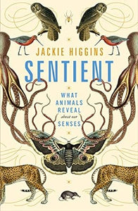 Sentient: What Animals Reveal About Our Senses