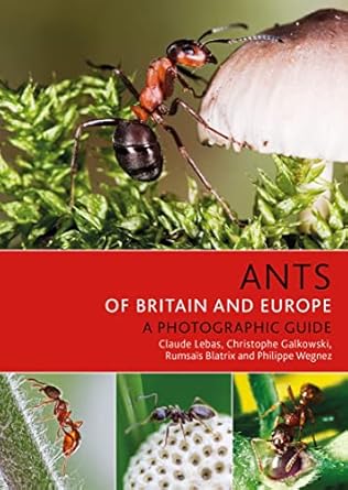 Ants Of Britain And Europe