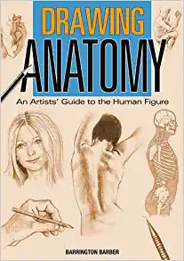 Drawing Anatomy