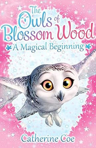 Owlsbw01 A Magical Beginning