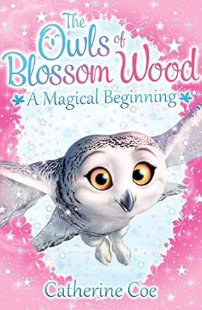 Owlsbw01 A Magical Beginning