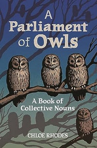 Parliament Of Owls: Collective Nouns