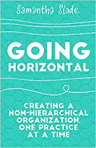 Going Horizontal: Creating a Non-Hierarchical Organization, One Practice at a Time