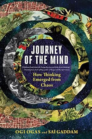 Journey Of The Mind