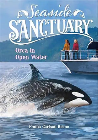 Seasidesanc Orca In Open Water