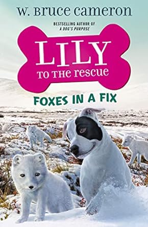 Lily To Rescue: Foxes