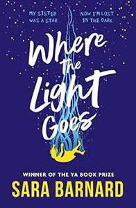 Where Light Goes