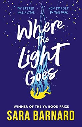 Where Light Goes