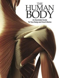 The Human Body: An Illustrated Guide to Your Body and How it Works