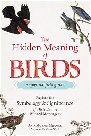 The Hidden Meaning Of Birds