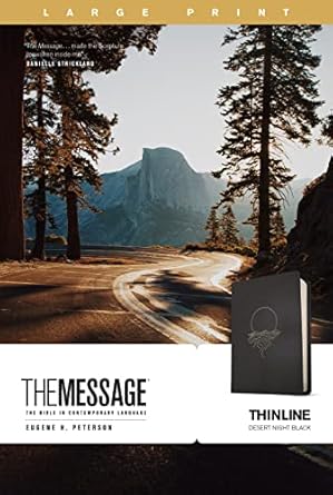 The Message Thinline Lp /Lea (Black)