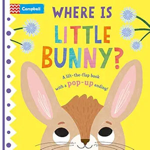 Where Is Little Bunny'