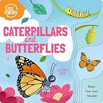 Life Cycles: Caterpillars & Butterflies