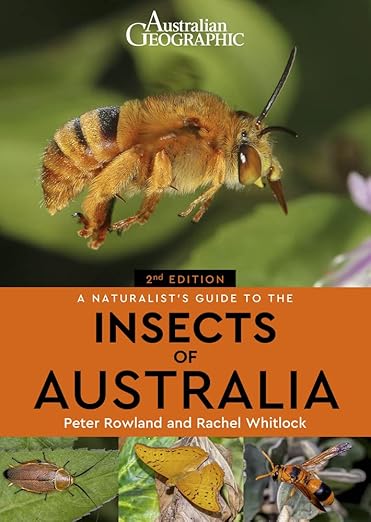 Ng: Insects Of Australia 2E