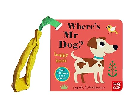 Feltflaps Where'S Mr Dog
