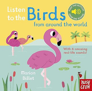 Listen To Birds From Around World