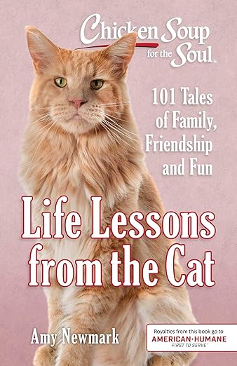 Cs For The Soul: Life Lessons Cat