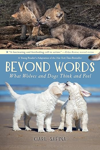 Beyond Words: What Wolves & Dogs