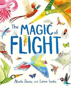 Magic Of Flight