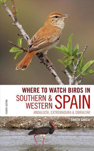 Where To Watch Birds In Spain (Only Copy)