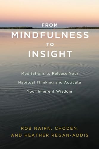 From Mindfulness To Insight /T