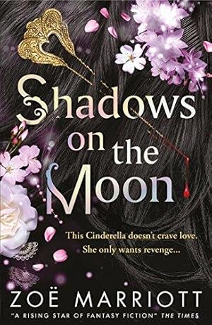 Shadows On the Moon