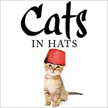 Cats In Hats /H