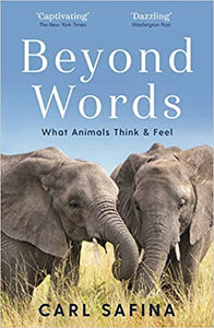 Beyond Words: What Animals Think /H