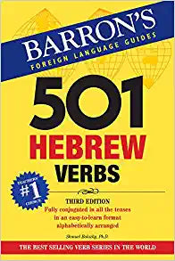 501 Hebrew Verbs