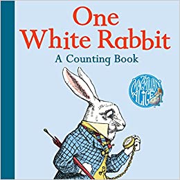 One White Rabbit: A Counting Bk - BookMarket