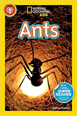 Nat geo readers Ants - BookMarket
