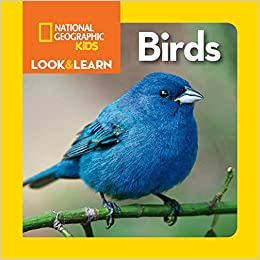 Nat Geo Little Kids Look & Learn Birds - BookMarket