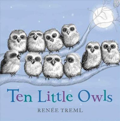 Ten Little Owls - BookMarket