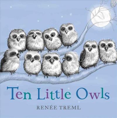 Ten Little Owls - BookMarket